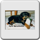 Cyra Spreeteufel