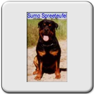 Sumo Spreeteufel