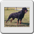 Hennessy Spreeteufel