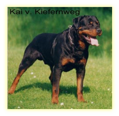 Kai v. Kiefernweg