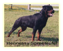 Hennessy Spreeteufel