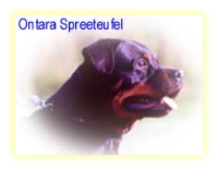 Ontara Spreeteufel