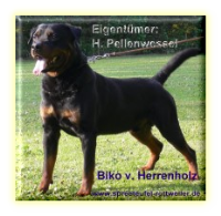 Biko v. Herrenholz