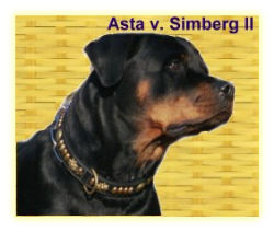 Asta v. Simberg II